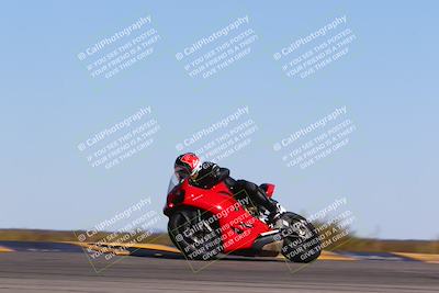 media/Mar-12-2022-SoCal Trackdays (Sat) [[152081554b]]/Turn 9 Side (145pm)/